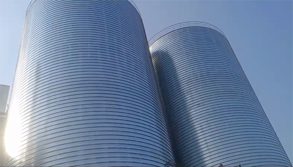 松滋2座混凝土高架卷板仓